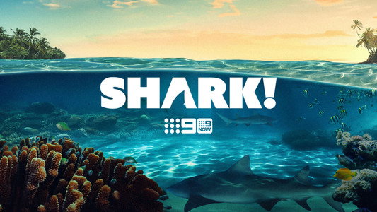 Shark!