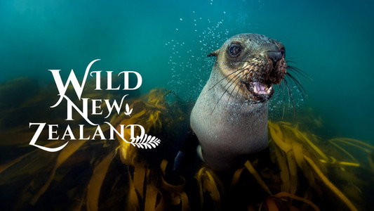 New Zealand: Earth's Mythical Islands