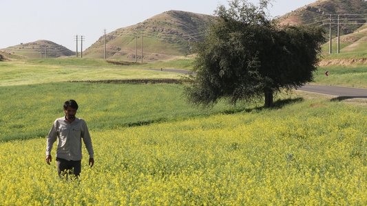 درب