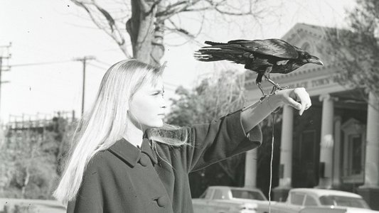 Peyton Place
