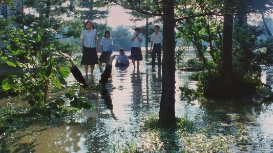 台風クラブ