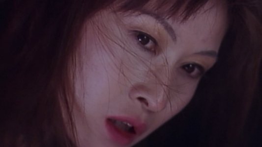 超いんらん　姉妹どんぶり