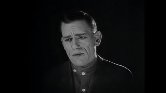 The Light in the Dark