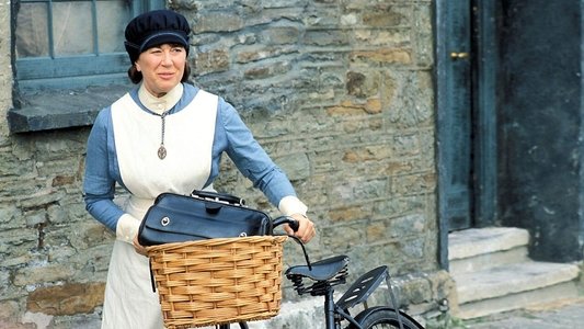 The District Nurse