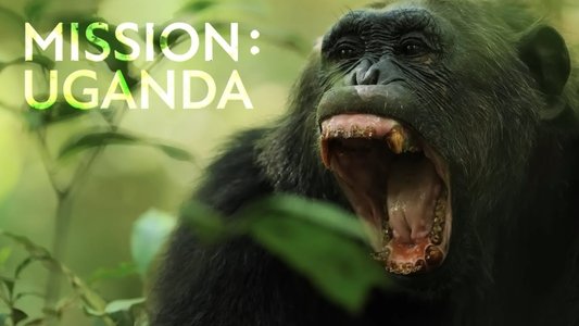 Mission: Uganda