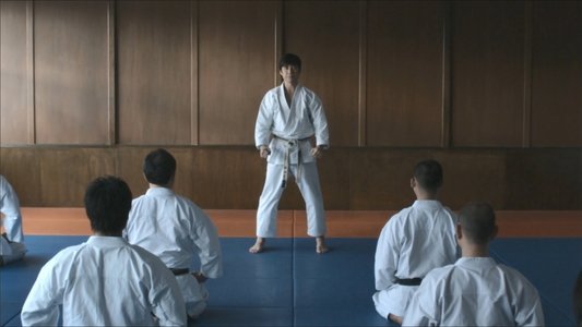 ハイキック・ガール!