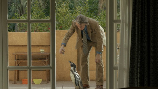 The Penguin Lessons
