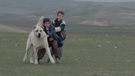 Sivas