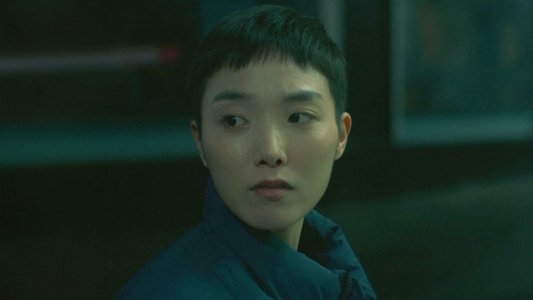 폭설