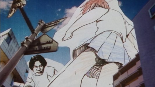 彼氏彼女の事情