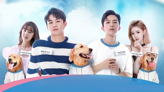 我的兄弟不可能这么萌