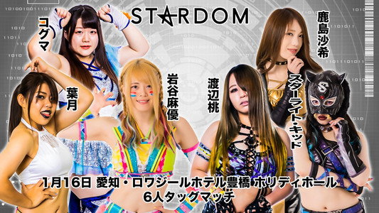 スターダム豊橋大会