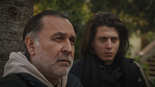 Kırağı Tutmuş Yaprak