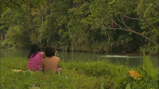 A Far Away Life