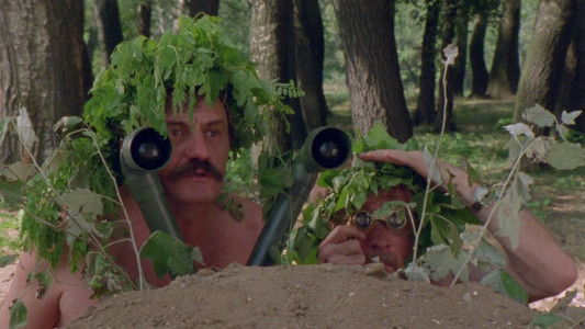 Жикина династија