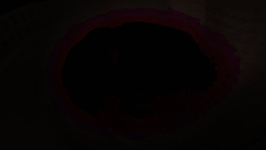 The Somnambulist