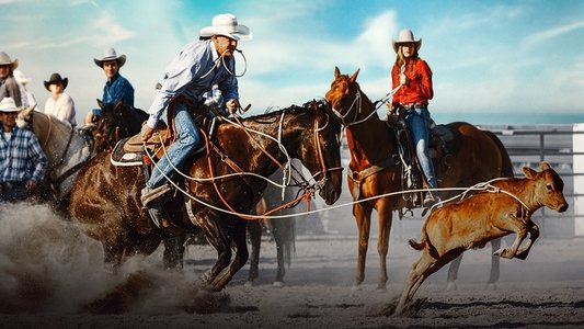 Ultimate Cowboy Showdown