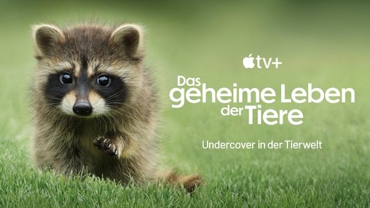 The Secret Lives of Animals