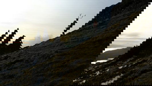 Le passeur des Lieux