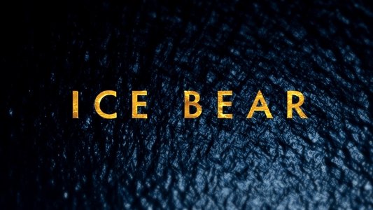 Polar Bears: Ice Bear
