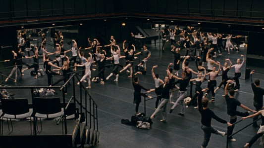 Black Swan