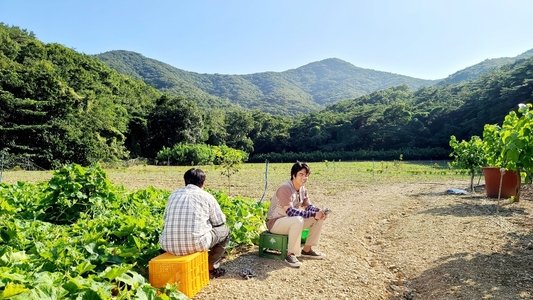 싸나희 순정