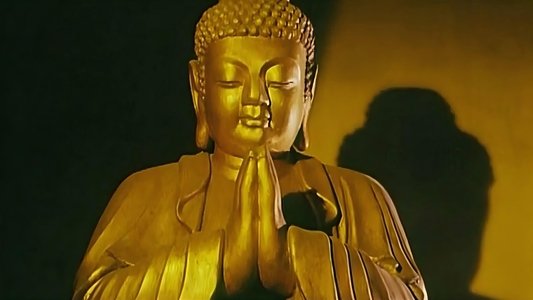 龍在少林
