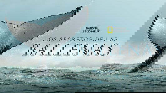 Secrets of the Whales