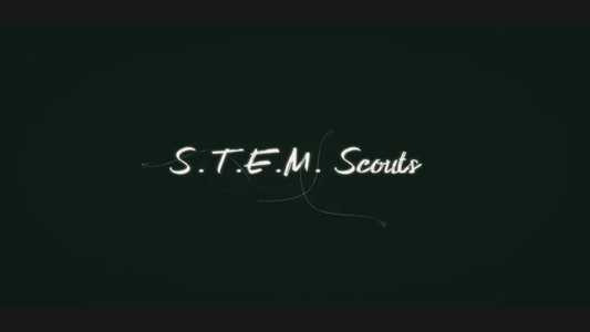 S.T.E.M. Scouts