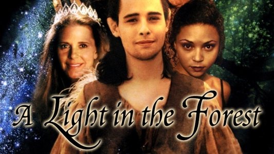 A Light in the Forest