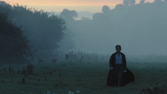 Pride & Prejudice