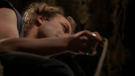 The Silence of the Lambs