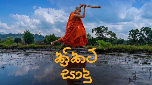 ක්‍රිකට් සාදු