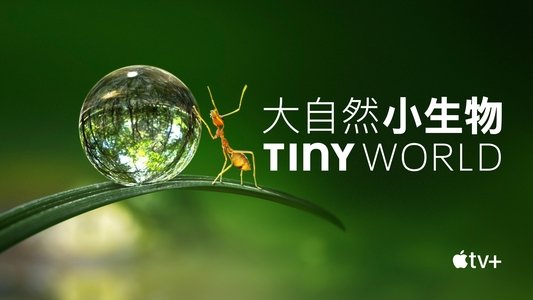 Tiny World