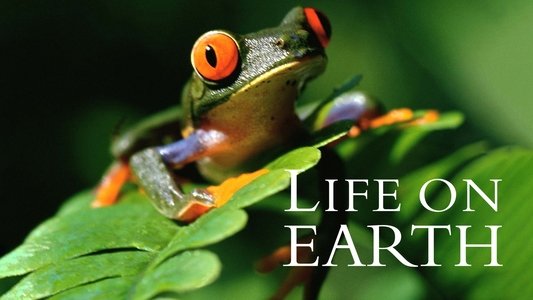 Life on Earth