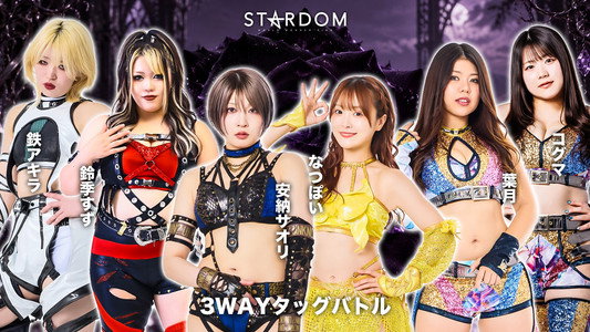 STARDOM SILVER WEEK TOUR 2026 in FUKUYAMA
