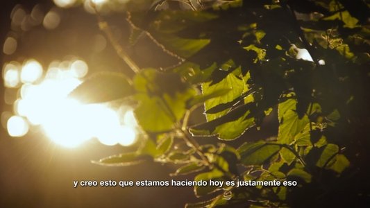 Soñando Martín