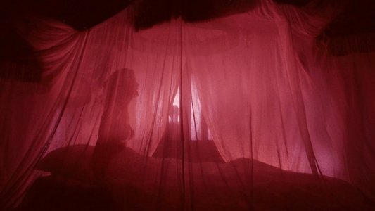 The Rocky Horror Picture Show