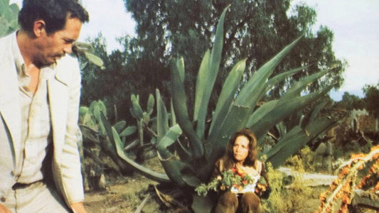 Bring Me the Head of Alfredo Garcia