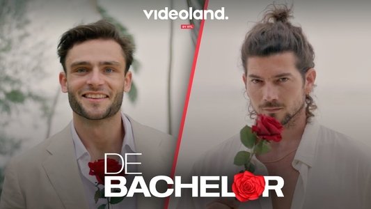 De Bachelor