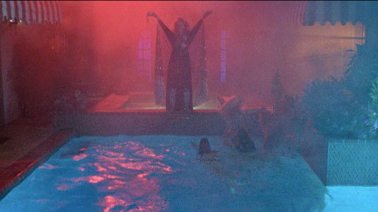 Auntie Lee's Meat Pies