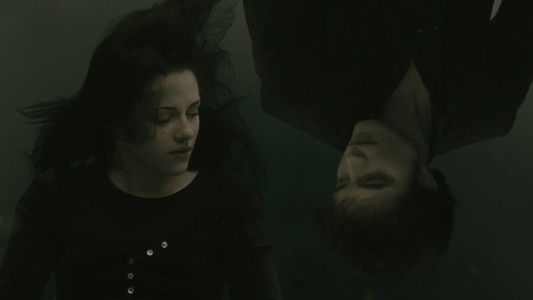 The Twilight Saga: New Moon