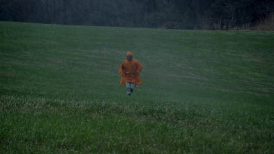 キツツキと雨