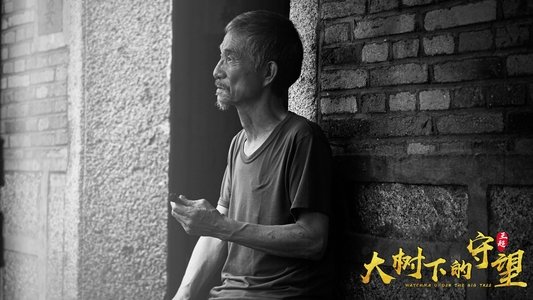 大树下的守望