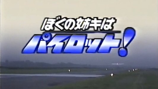 ぼくの姉キはパイロット!
