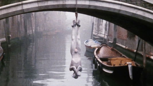 Butoh: Body on the Edge of Crisis