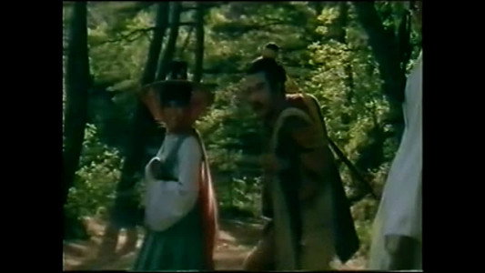 Fei long duo bo