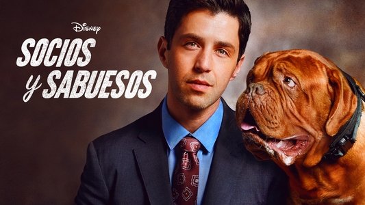 Turner & Hooch