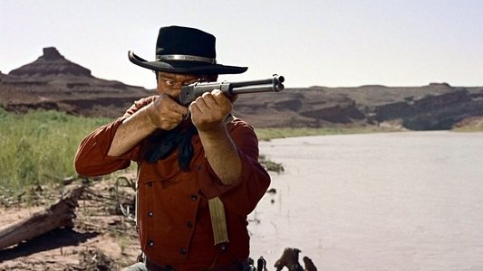 The Searchers
