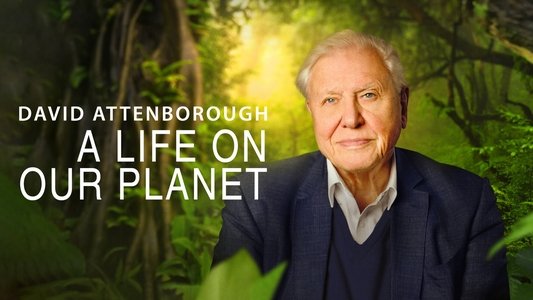 David Attenborough: A Life on Our Planet